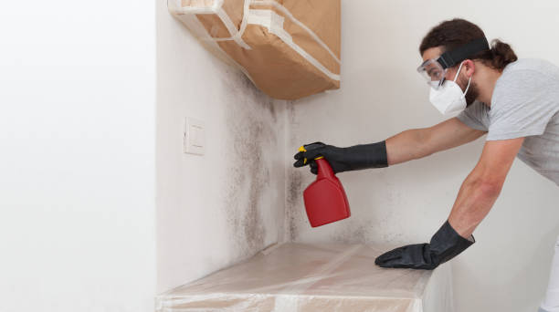 Professional Crawl Space Mold Removal technician working in Fairfield, IL