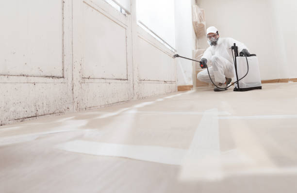 24/7 Emergency Crawl Space Mold Removal experts in Fairfield, IL